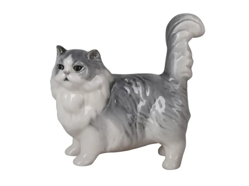 Patricia-the-Persian-cat-lomonosow-galinex.webp