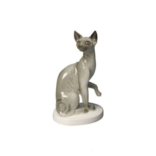 Lomonosov-sphynx-cat-galinex.jpg