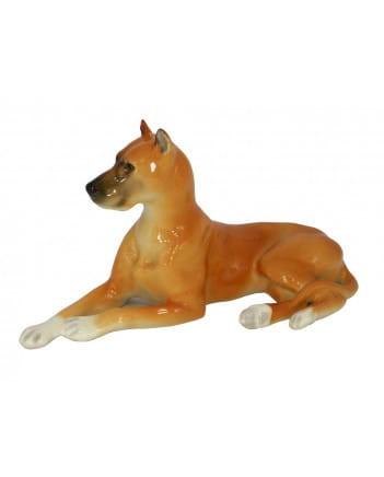 pies-Dog-rudy-galinex-Łomonosow.jpg