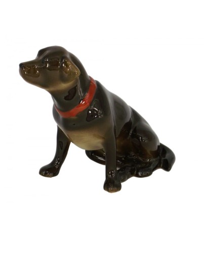 Dark-Labrador-Lomonosov-Galinex.jpg