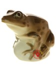 Żaba stawowa brązowa (200-0169)