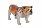Buldog angielski (200-0178)