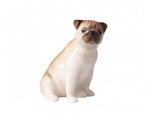 mops-niki-galinex-lomonosow.jpg