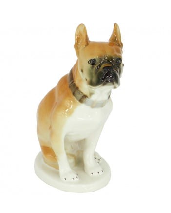 buldog-galinex-lomonosow.jpg