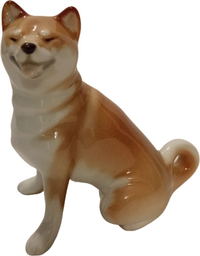 pies-shiba-galinex-lomonosow.jpg