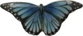 motyl-sredni-blekitny-galinex-lomonosow.jpg