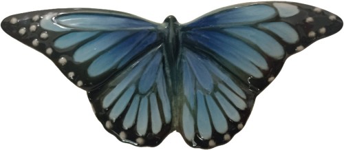 motyl-sredni-blekitny-galinex-lomonosow.jpg
