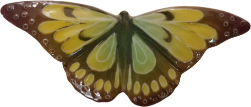 motyl-sredni-galinex-lomonosow.jpg
