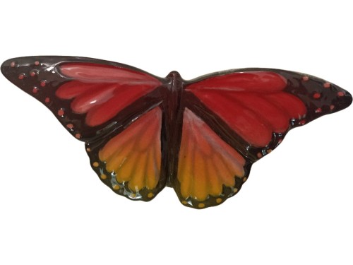 motyl-czerwony-galinex-lomonosow.jpg
