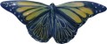 motyl-sredni-niebiesko-zółty-galinex.jpg