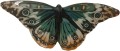 motyl-sredni-turkusowy-galinex-lomonosow.jpg