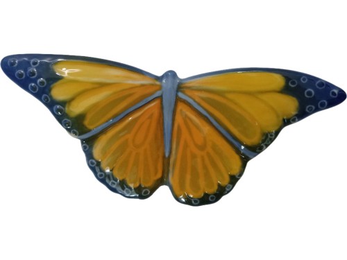 motyl-sloneczny-sredni-galinx-lomonosow.jpg