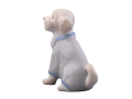 pies-maltipoo-1-galinex-lomonosow.png