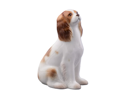 spaniel-cavalier-king-galinex-lomonosow.png